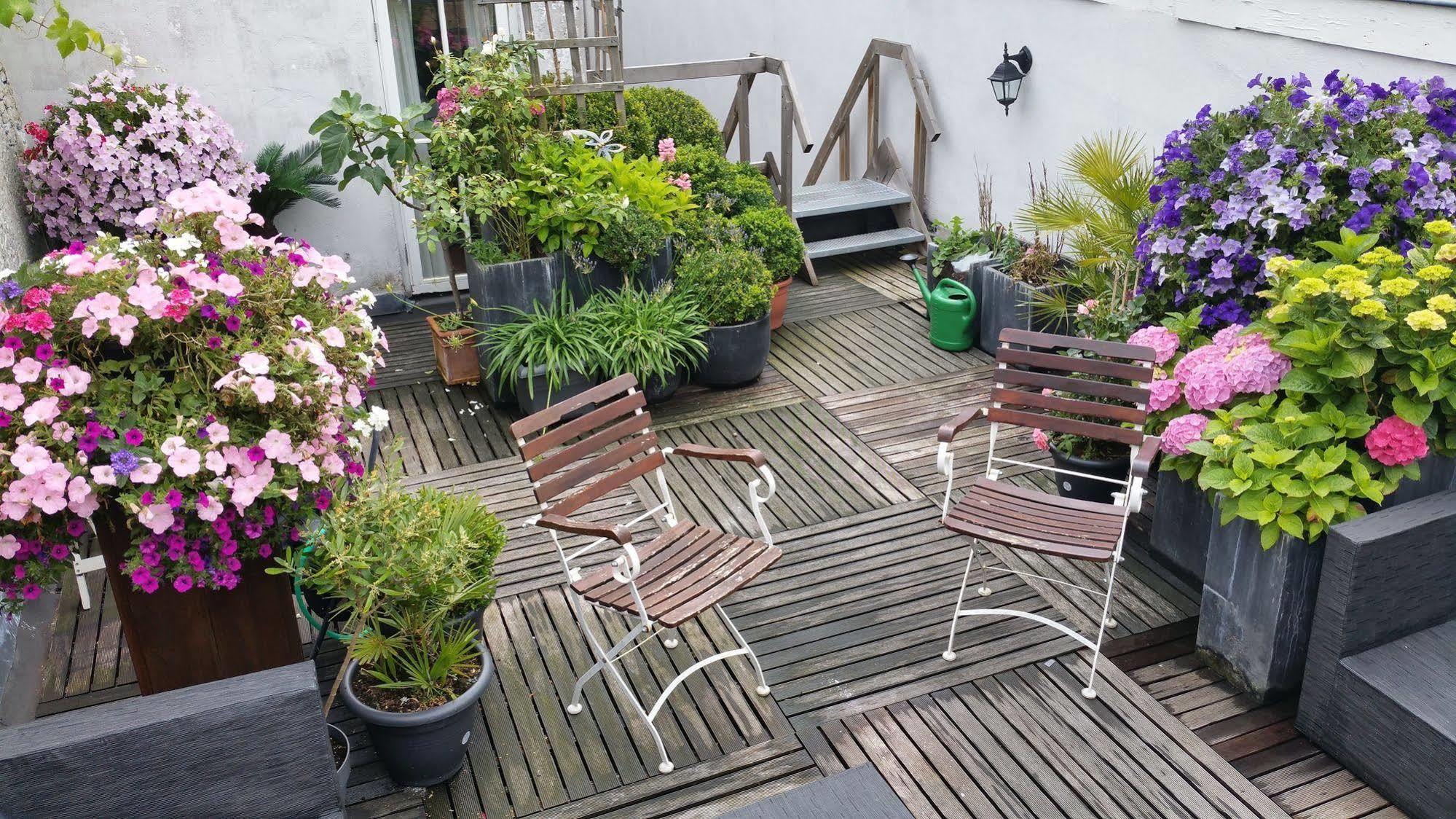 Boutique Huys Leyden Hotel